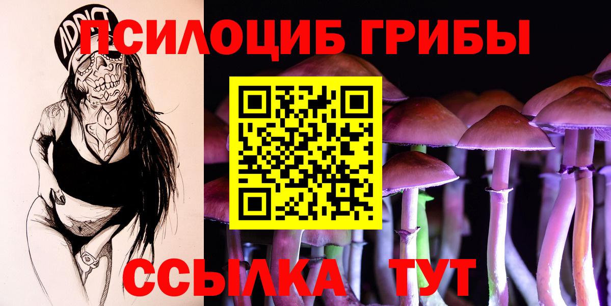 Галлюциногенные грибы мухоморы Новокубанск